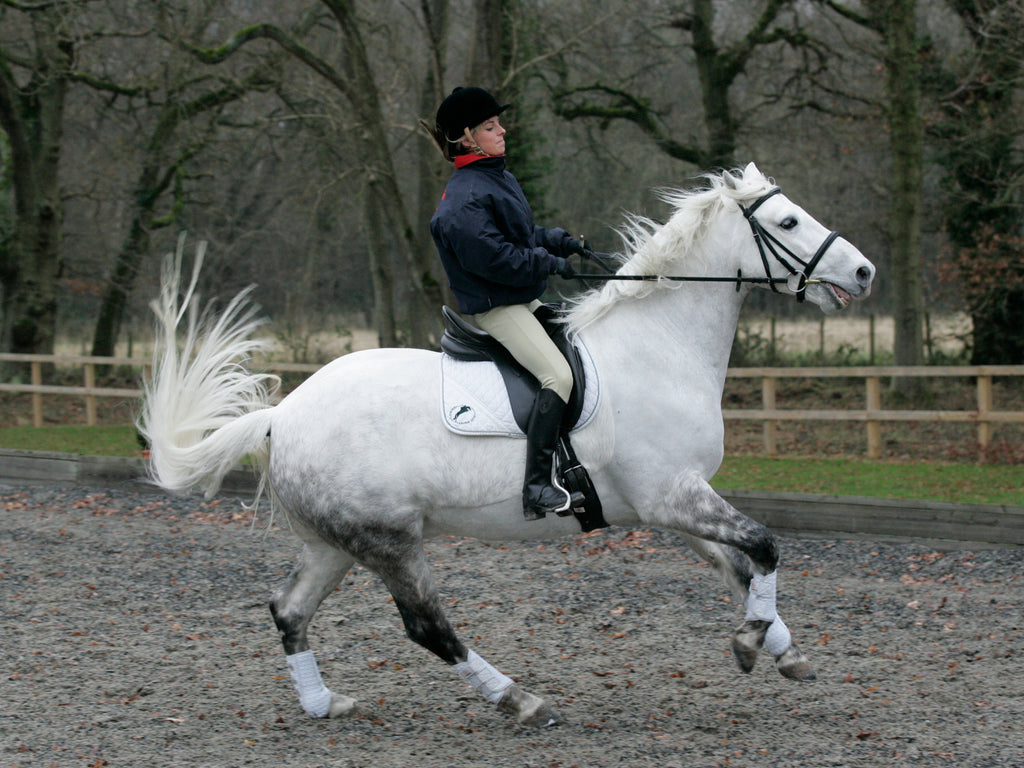 Does My Horse Have Behavioural Issues?