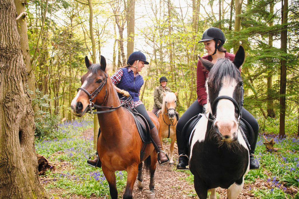 A Simple Post-Ride Massage For Your Horse